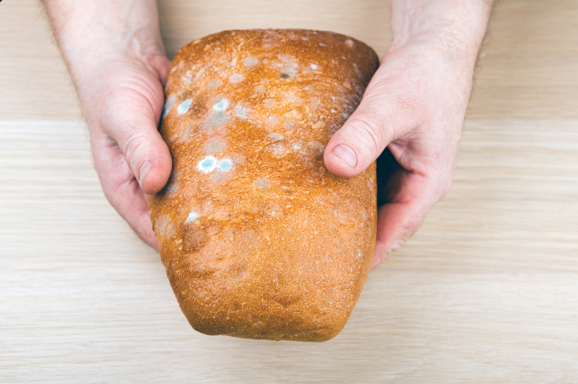 Storing Bread Properly to Prevent Spoilage