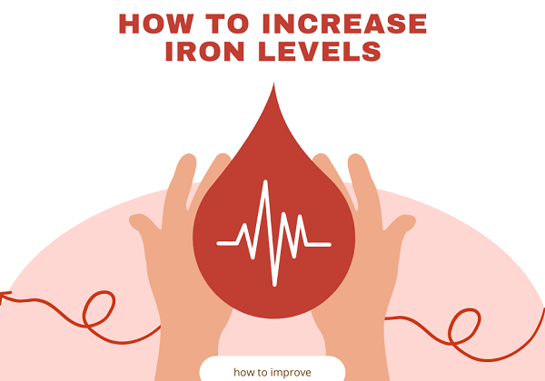 how to increase iron levels